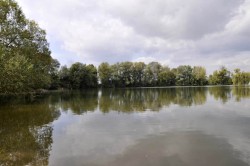 Uhliska vznikly zasypáním přítoku a odtoku meandru řeky